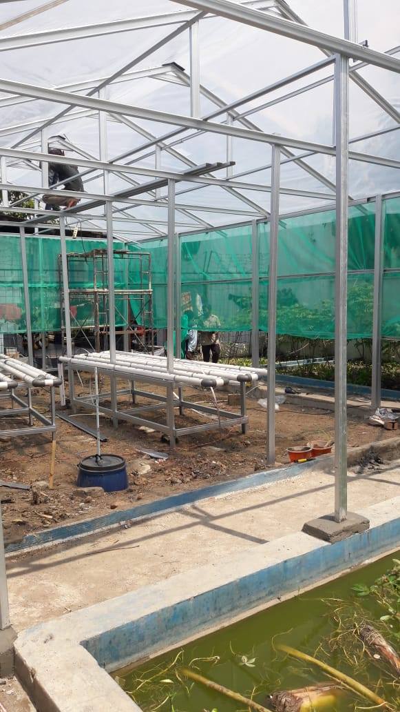 Pembuatan Kebun Hidroponik